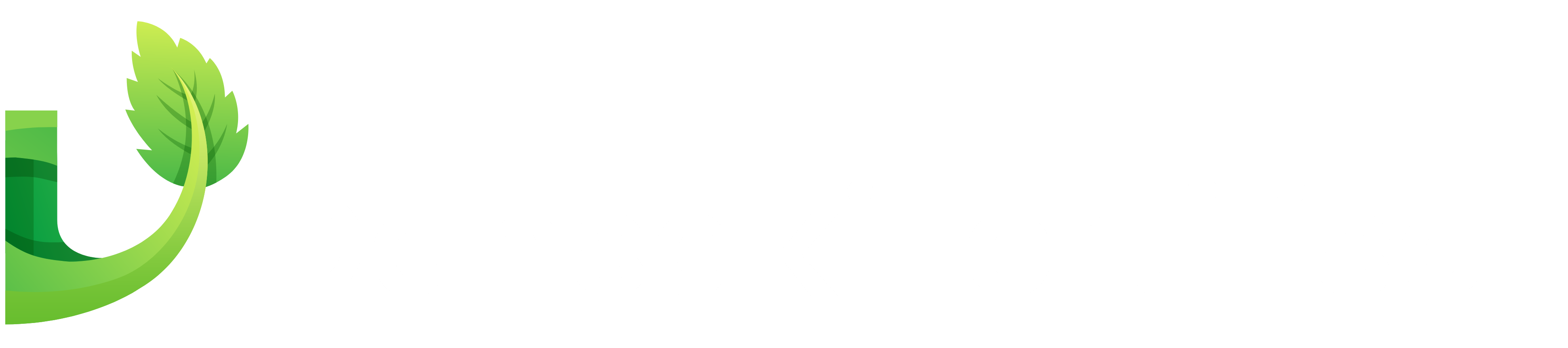 DANSAKI